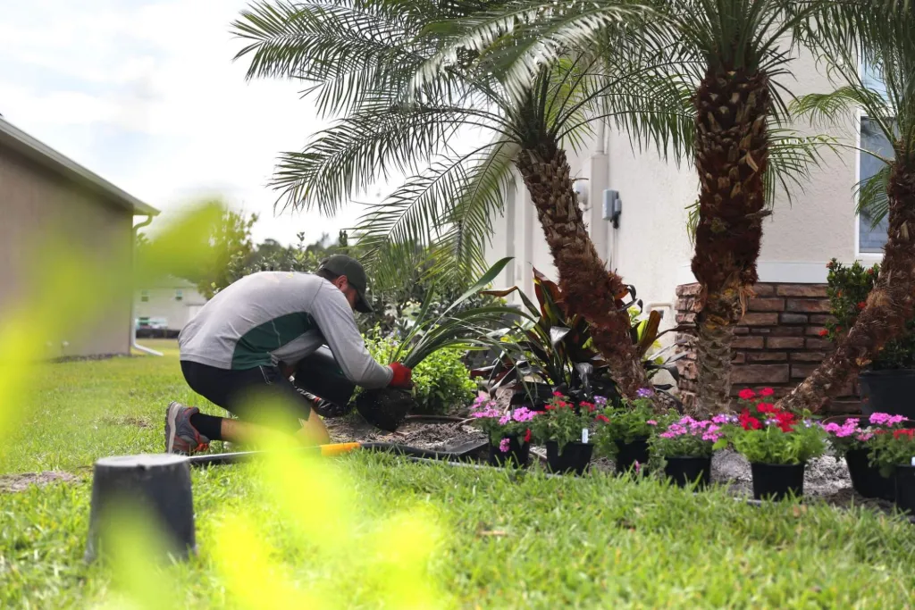 A Landscapes by Mic crew member installing colorful plants beside palm trees
