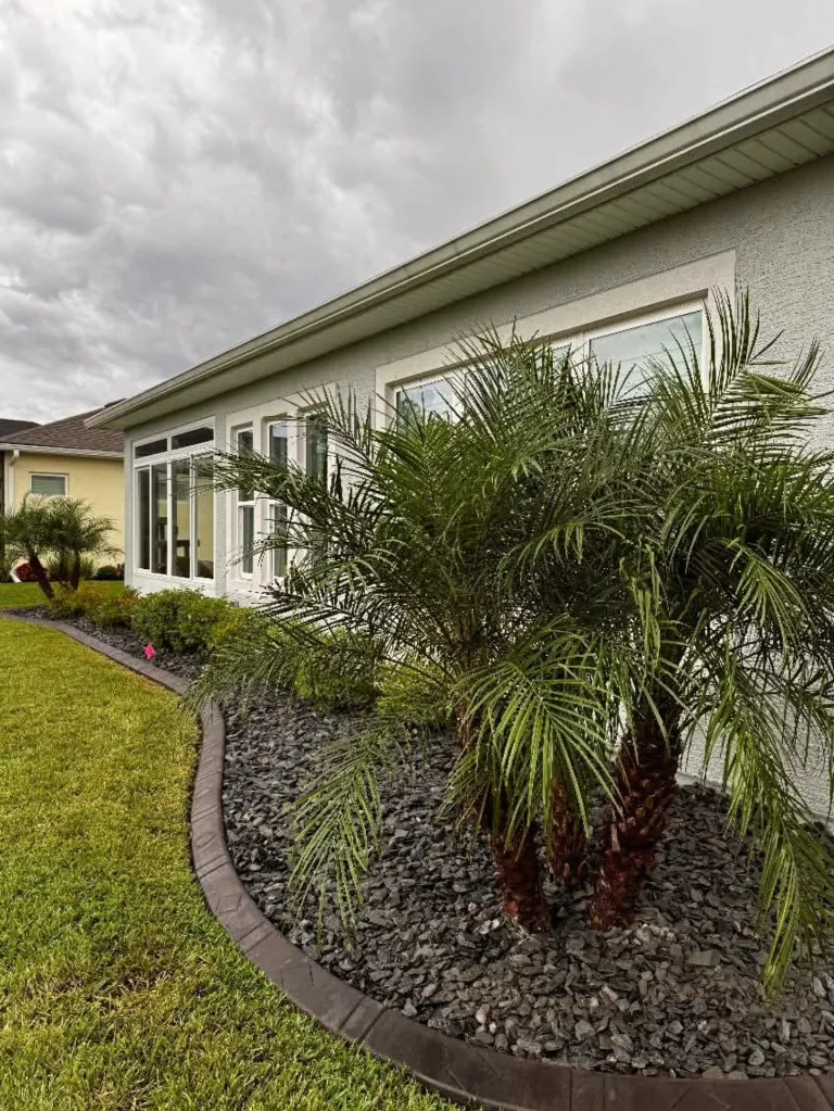 Curved side-yard rock bed with palms and concrete curbing