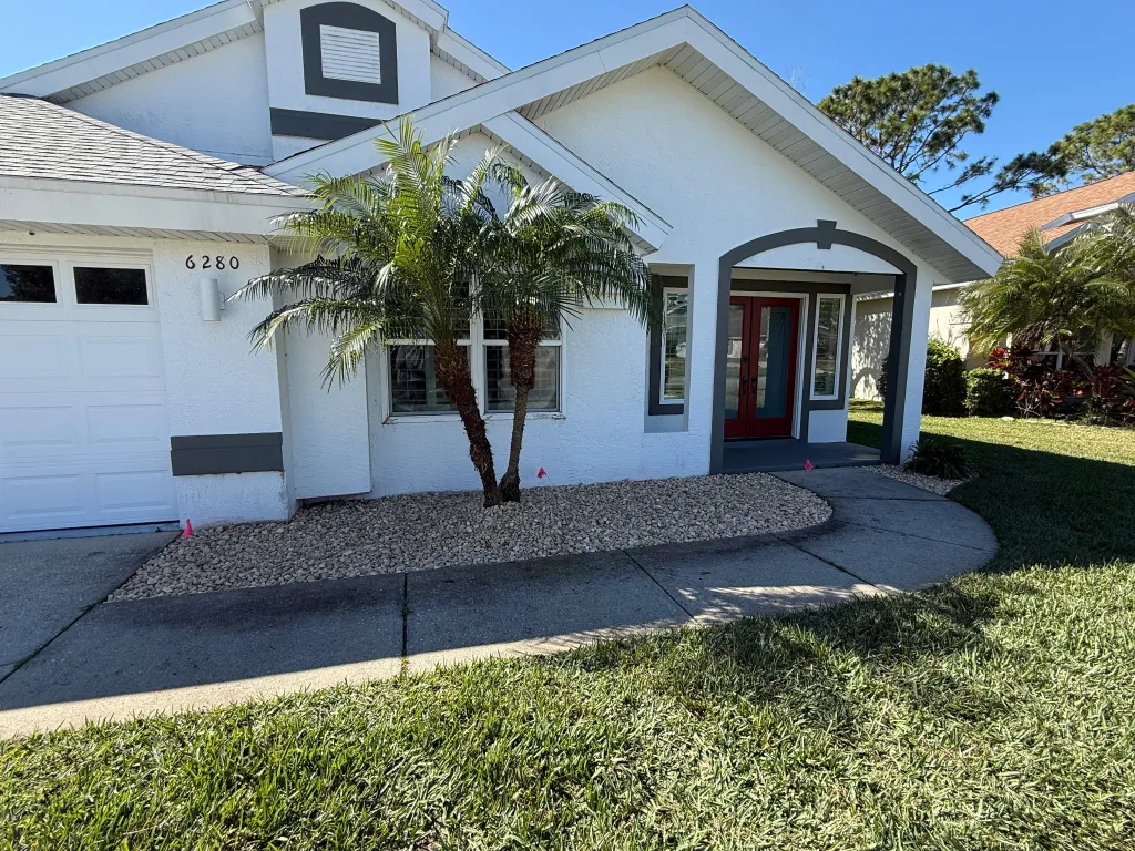 Light rock foundation bed around existing palms